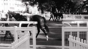 watt plastics slider background