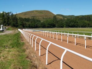 Gallop Rail 1