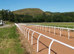 watt plastics gallop rail portfolio 7