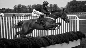 watt plastics slider bg plastic birch optimised