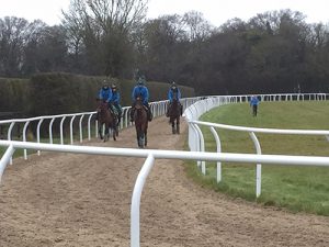 gallop rail gallery 1