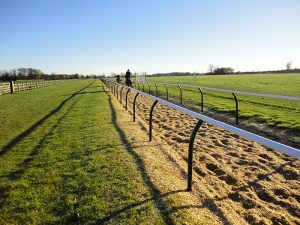 gallop rail gallery 1