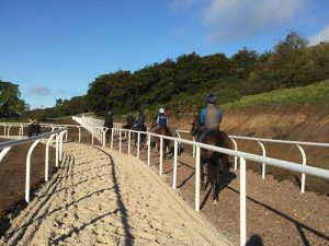 gallop rail gallery 2