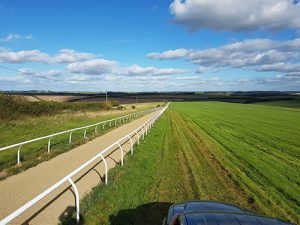 gallop rail gallery 3