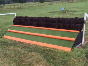 plastic birch gallery 2