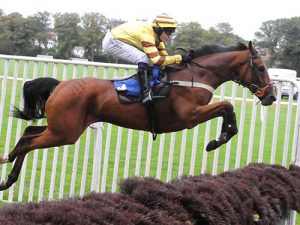 plastic birch gallery 3