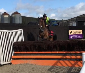 plastic birch product img