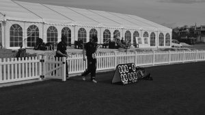 watt plastics slider cricket 1