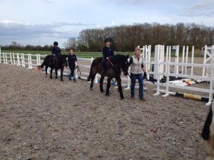 Portable Post and Rail 4ft