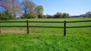 Flexible Stud Rail by Watt Plastics