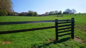 Flexible Stud Rail for horses
