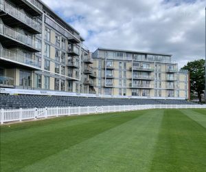 Cricket Picket Fence