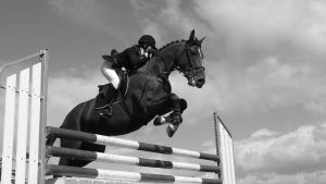 Watt Plastics Horse Jumps